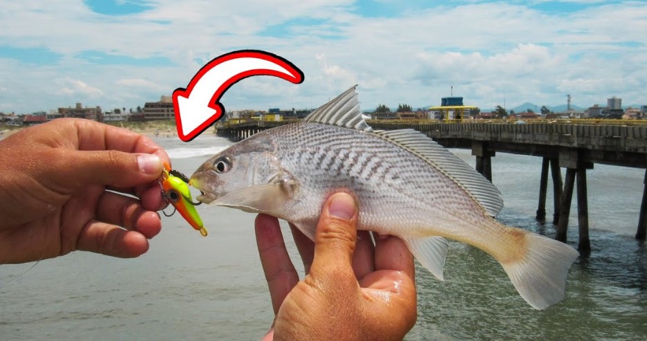 Pesca de Jig – Barco La Vida Loca